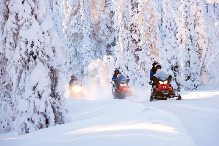 Snowmobile safari
